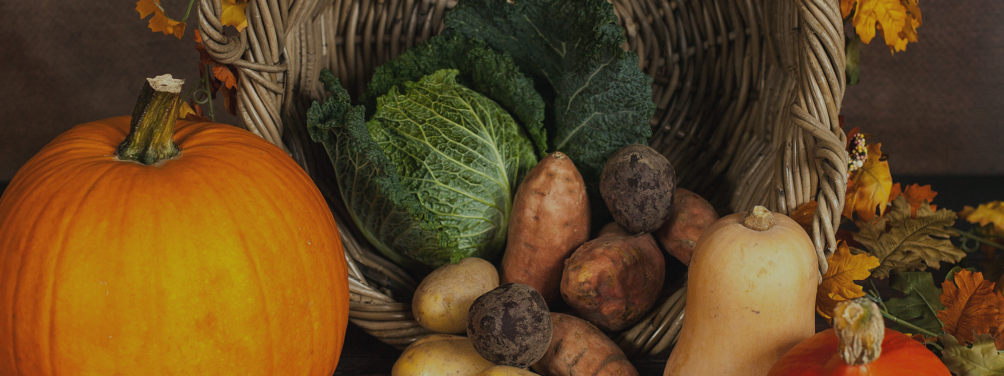 WELCOME*Come to our Harvest Service Sunday 18th October*ABOUT US